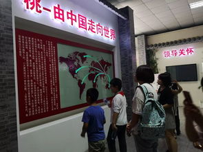 桃香引巧思，非遺潤(rùn)童心——奉賢錢橋?qū)W校暑期親子體驗(yàn)活動(dòng)側(cè)記